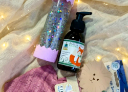 fotos - 2026-02-20T112404.395